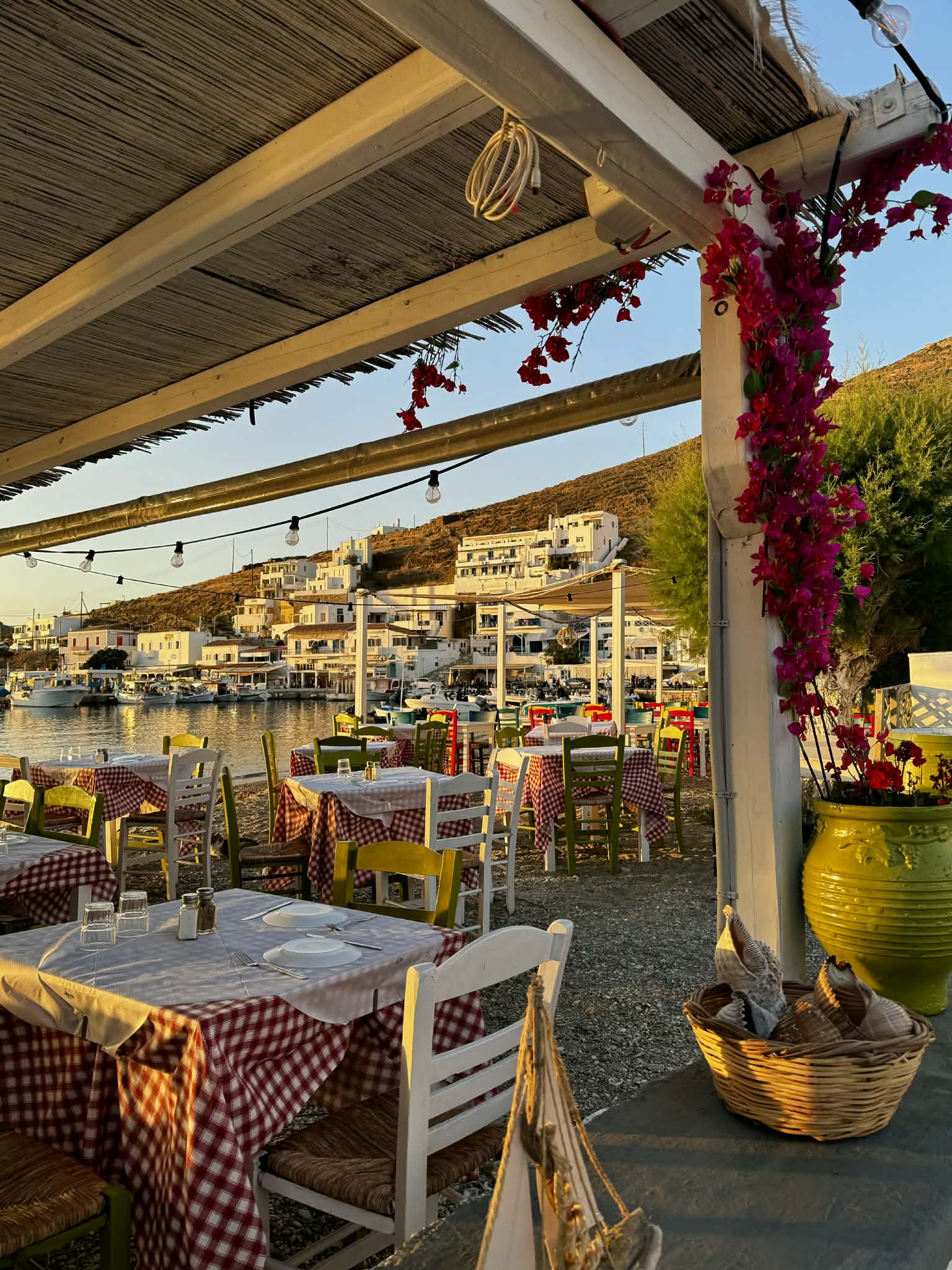 Food and nightlife 1